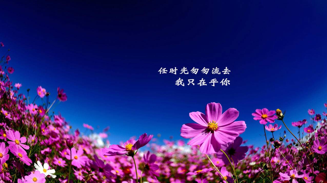 hero-image